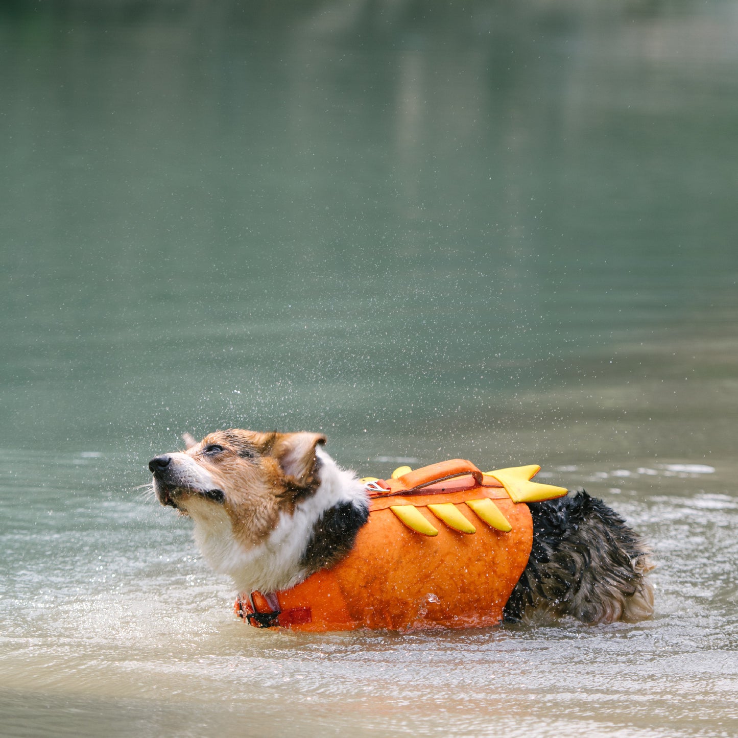 Adorable Design Dog life jacket High Buoyancy Anti-Drowning - FriskFable - friskfable