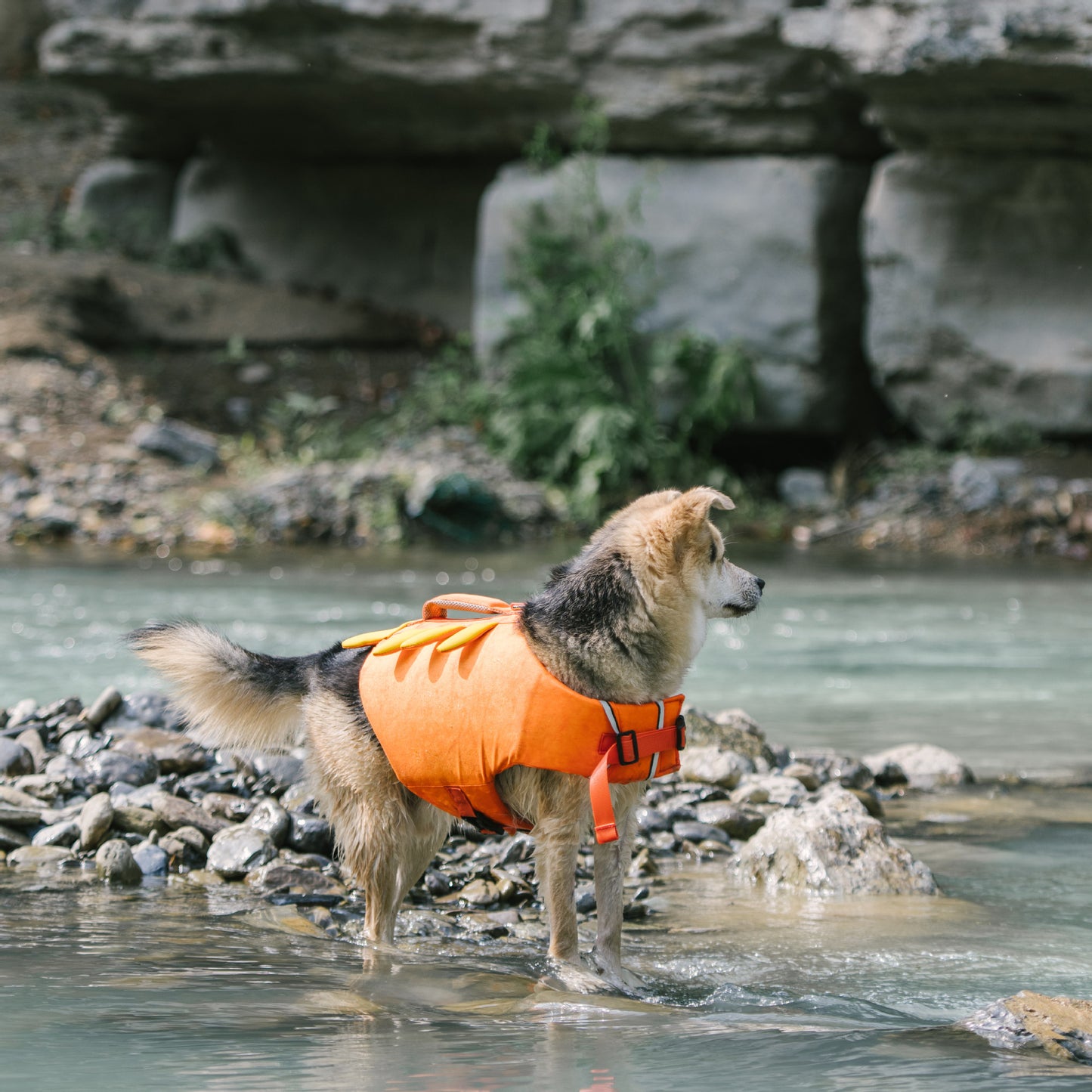 Adorable Design Dog life jacket High Buoyancy Anti-Drowning - FriskFable - friskfable