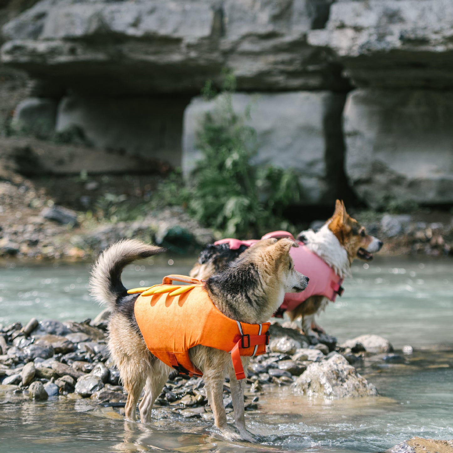 Adorable Design Dog life jacket High Buoyancy Anti-Drowning - FriskFable - friskfable