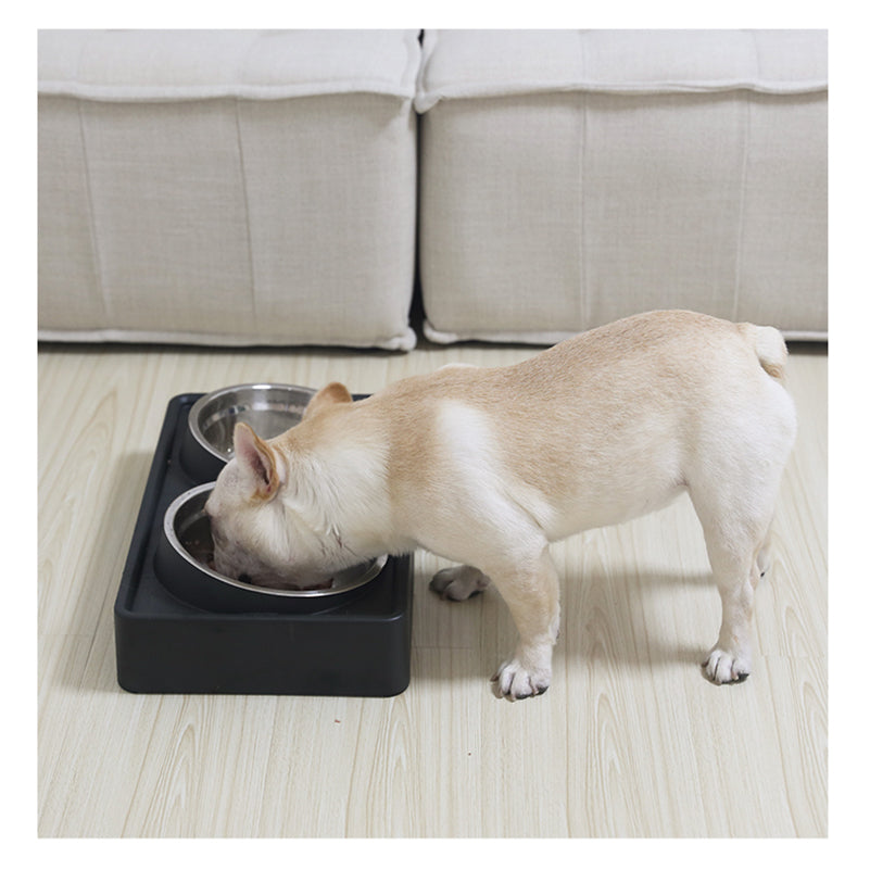 Elevated Dog Bowl with Stand Adjustable Height & Stainless Steel - FriskFable - friskfable