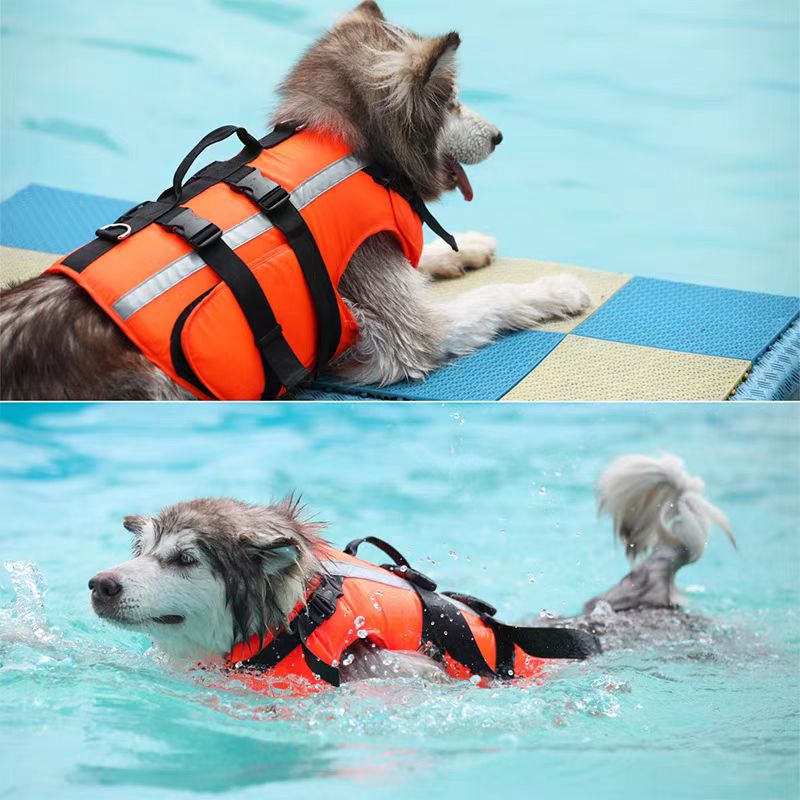 Reflective Multi-Protection Dog life jacket - FriskFable - friskfable