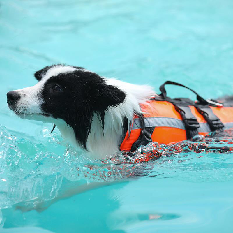 Reflective Multi-Protection Dog life jacket - FriskFable - friskfable