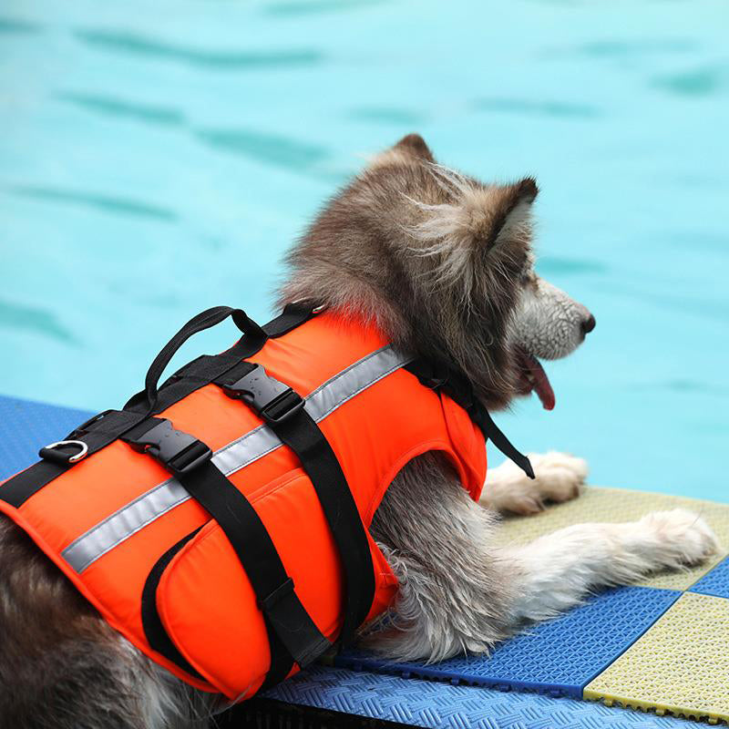 Reflective Multi-Protection Dog life jacket - FriskFable - friskfable