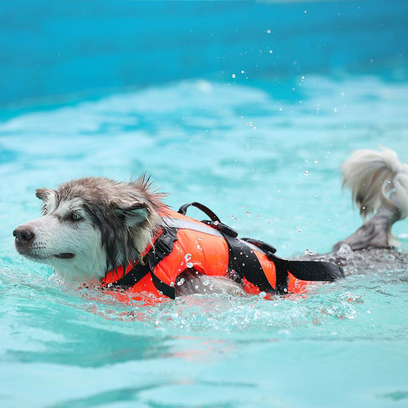 Reflective Multi-Protection Dog life jacket - FriskFable - friskfable