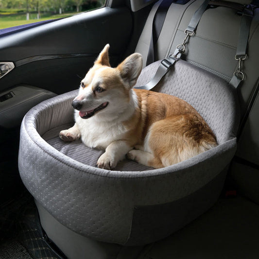 Dog Car Seat Guide: Let Your Dog Enjoy the View Safely
