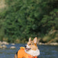 Adorable Design Dog life jacket High Buoyancy Anti-Drowning - FriskFable - friskfable