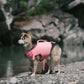 Adorable Design Dog life jacket High Buoyancy Anti-Drowning - FriskFable - friskfable