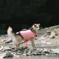 Adorable Design Dog life jacket High Buoyancy Anti-Drowning - FriskFable - friskfable