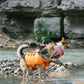 Adorable Design Dog life jacket High Buoyancy Anti-Drowning - FriskFable - friskfable