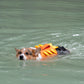Adorable Design Dog life jacket High Buoyancy Anti-Drowning - FriskFable - friskfable