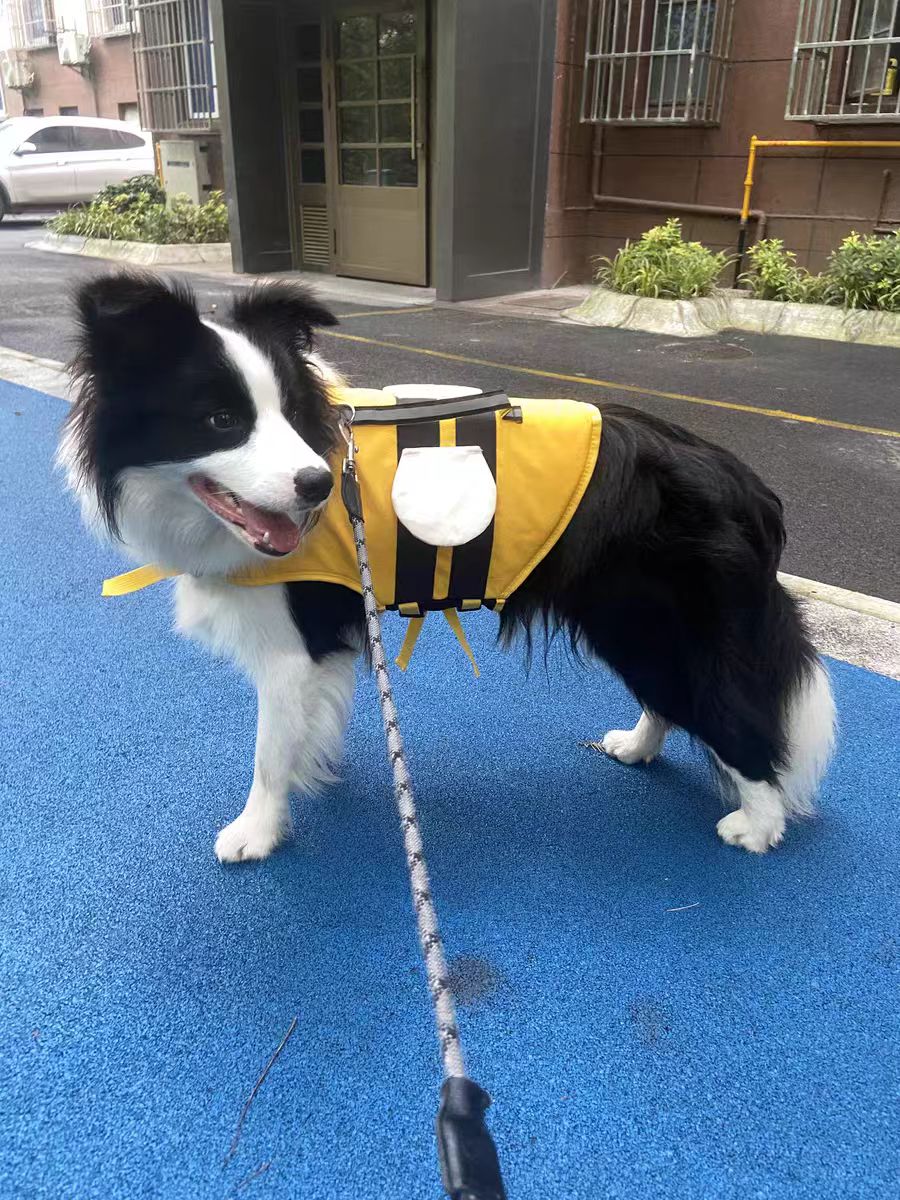 Cute Bee Design Dog life jacket - FriskFable - friskfable