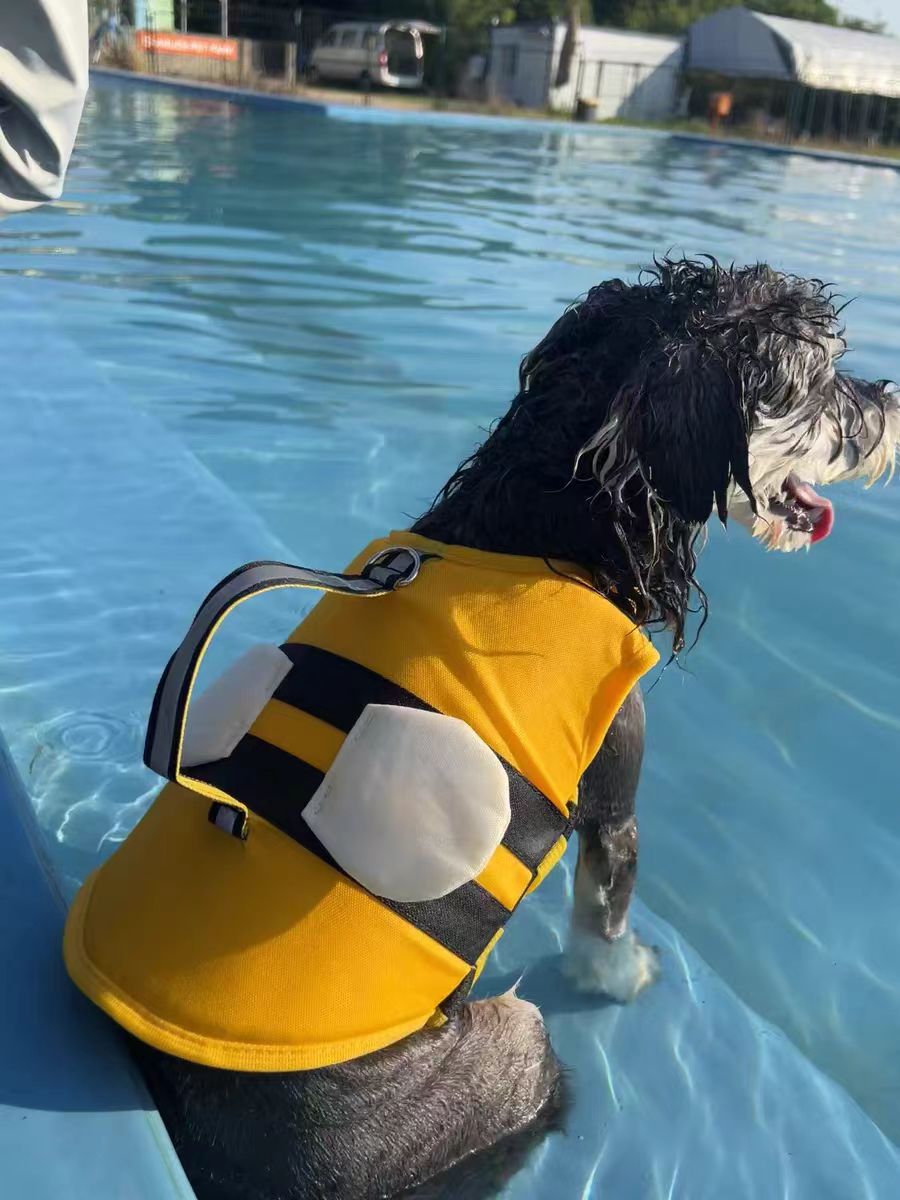 Cute Bee Design Dog life jacket - FriskFable - friskfable
