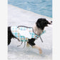 Small Dog life jacket Leash Clip & Multi-Protection - FriskFable - friskfable