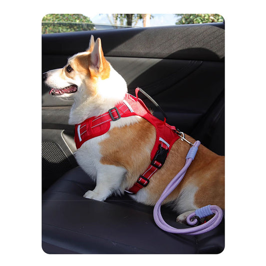 Small & Medium Dog Car Harness Breed-Specific Design - FriskFable - friskfable